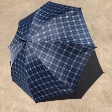 紅葉雨傘101